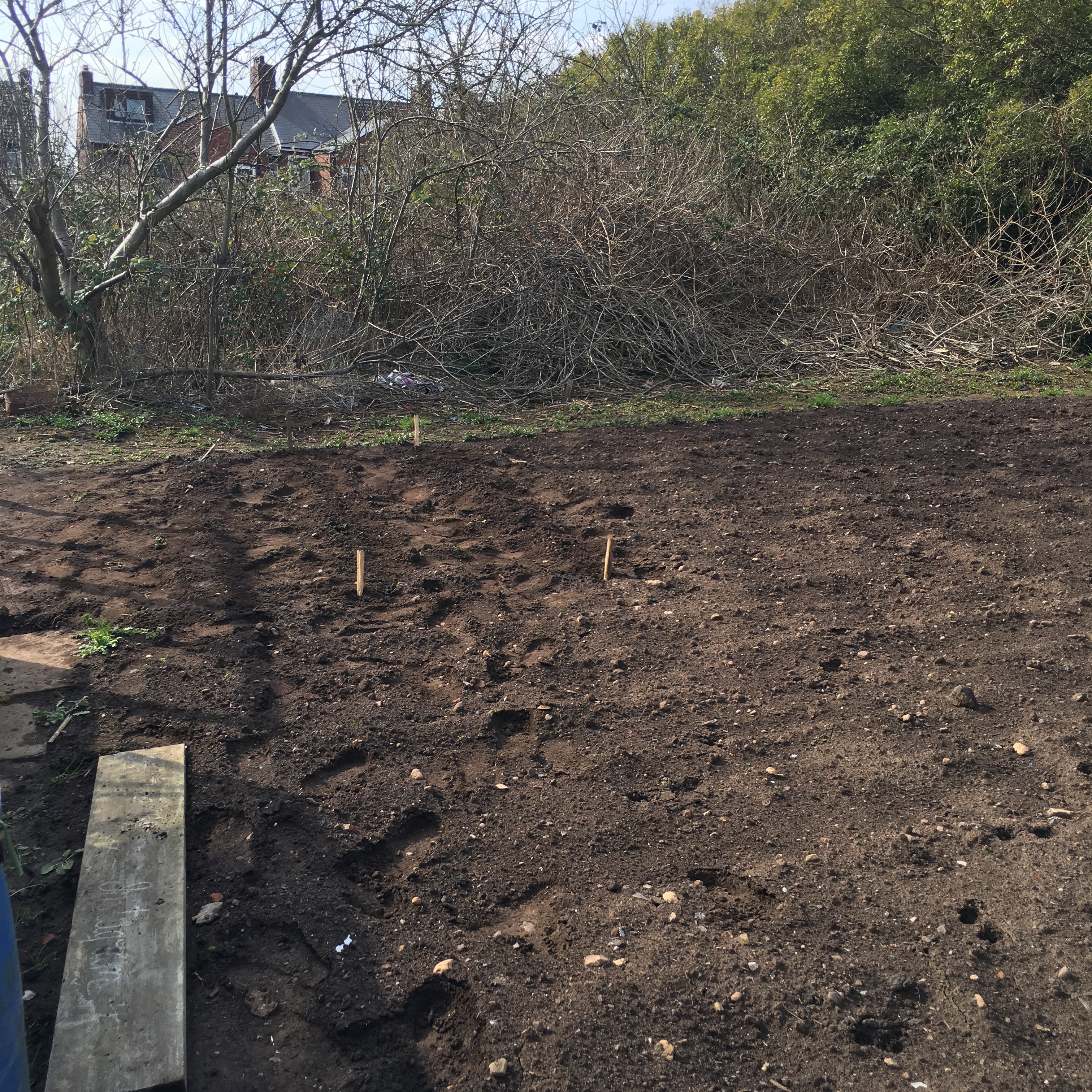 allotment sam cleasby sheffield gardening disability