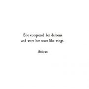 Conquered demons scars like wings